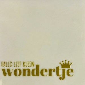 Tegeltje hallo lief klein wondertje