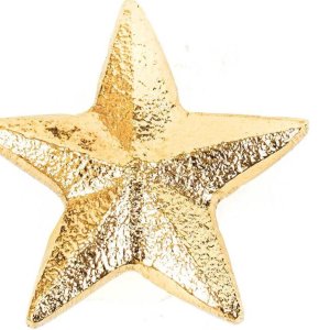 Ster kaarsen pin