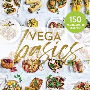 Vega basics